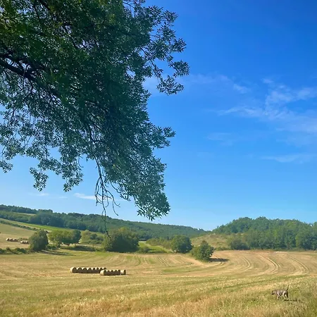 Bimienthus Te Beaumont En Perigord Dordogne Combe-Moliere