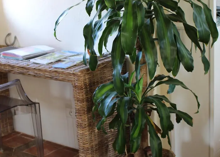 Bimienthus Te Beaumont En Perigord Dordogne Dom wakacyjny *